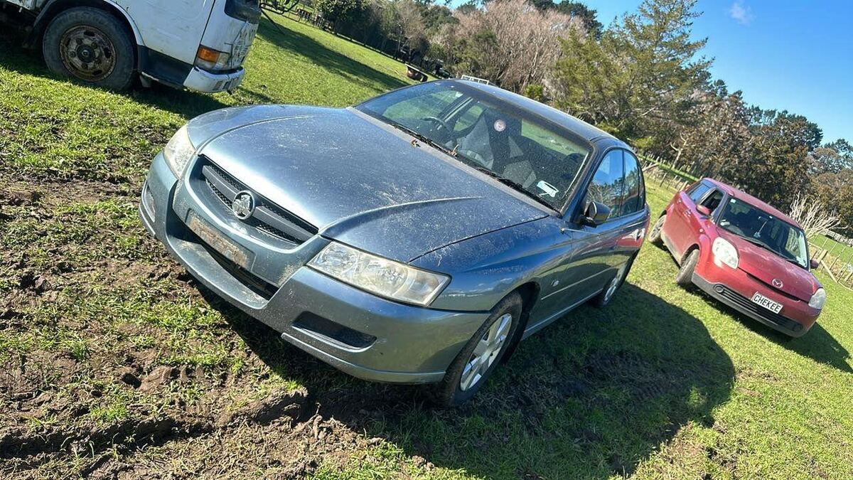 Unregistered cars without WOF parked on grass in South Auckland